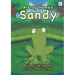 A Frog Named Sandy