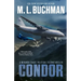 Condor: a political technothriller