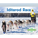 Iditarod Race