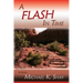 A Flash in Time