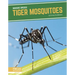 Tiger Mosquitoes