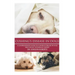 Cushing's Disease in Dogs: A Comprehensive Guide to Cushing's Disease in Dogs Written by Veterinary Expert Dr. Gordon Roberts