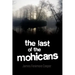 The Last of the Mohicans