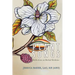 Plant Songs: Reflections on Herbal Medicine