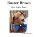 Buster Brown: Best Dog In Town