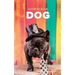 Address Book Dog