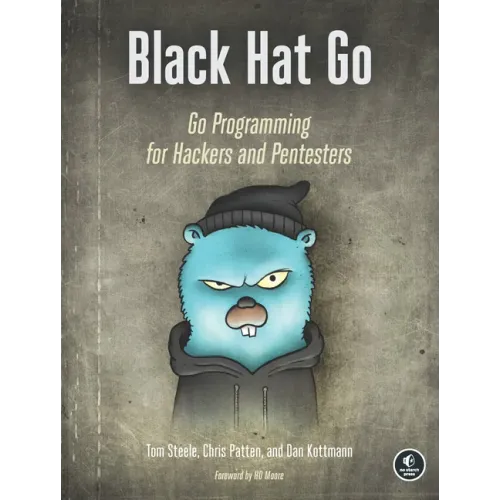 Black Hat Go: Go Programming for Hackers and Pentesters