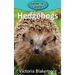 Hedgehogs