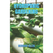 Hydroponic Gardening: A Complete Beginner's Guide On How To Build Your Own Hydroponic Gardening System