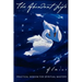 The Abundant Life