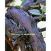 Vigilance Is No Orchard