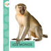 Los Monos