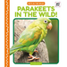Parakeets in the Wild!