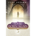 To Be Born Again: A Revert's Journey to Islam