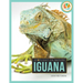 Iguana