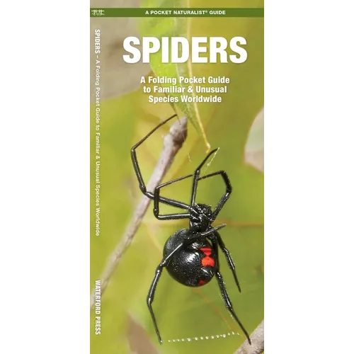 Spiders: A Folding Pocket Guide to Familiar & Unusual Species Worldwide