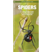 Spiders: A Folding Pocket Guide to Familiar & Unusual Species Worldwide