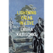 Lightning Falls in Love