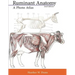 Ruminant Anatomy: A Photo Atlas
