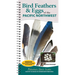 Bird Feathers & Eggs of the Pacific Northwest: Identify 44 Species of Common Backyard Birds