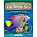 Incredible Creatures of the Caribbean Sea: Learn about Animals Including Octopuses, Stingrays, Eels, and Triggerfish!