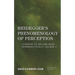 Heidegger's Phenomenology of Perception: Learning to See and Hear Hermeneutically