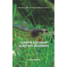 Shrimps Aquarium Guide for Beginners: Managing Different Types of Shrimp Species