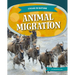 Animal Migration