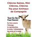 Chèvres naines, mini chèvres, chèvres toy pour animaux de compagnie. Tout ce qu'il faut savoir. Ce livre couvre l'élevage, la reproduction, la traite,