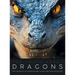 The Truth About Dragons: The Ultimate Illustrated Art Guide for Fantasy Lovers