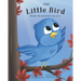 The Little Bird Who Wanted to Fly
