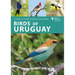 Birds of Uruguay