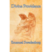Divine Providence: A Classic Work of Christian Theology on Free Will, Evil, and Divine Order