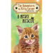 A Risky Rescue: The Adventures of Kitty Corner Book 1