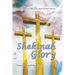 Shekinah Glory: Supernatural Miracles and Visions Stories