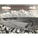 Remembering University of Florida Football