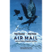 Air Mail: Letters of Politics, Pandemics, and Place
