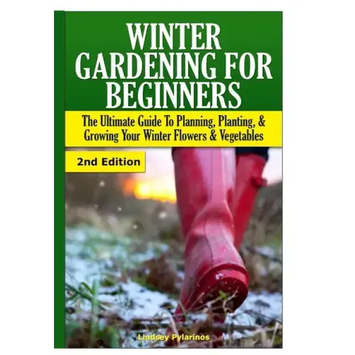 Winter Gardening for Beginners
