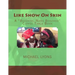 Like Snow On Skin