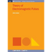 Theory of Electromagnetic Pulses