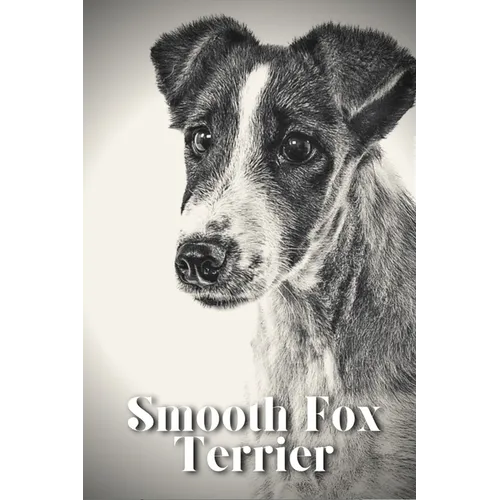 Smooth Fox Terrier: Dog breed overview and guide