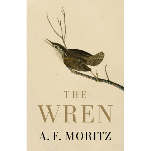The Wren