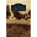 Los Angeles's La Brea Tar Pits and Hancock Park