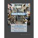Study Guide Student Workbook for Amal Unbound: Black Student Workbooks