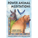 Power Animal Meditations: Shamanic Journeys with Your Spirit Allies