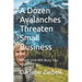 A Dozen Avalanches Threaten Small Business: Which One Will Bury You Alive?