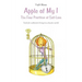 Apple of My I: The Four Practices of Self-Love: Tools for authentic living in a chaotic world