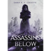 Assassins Below: Tales from Haven City