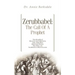 Zerubbabel: The Call of a Prophet
