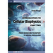 Introduction to Cellular Biophysics, Volume 2: From Membrane Transport to Neural Signalling